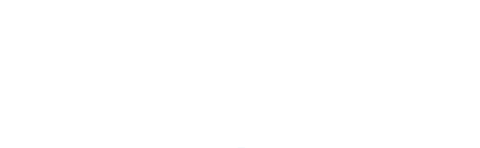700 MEGA